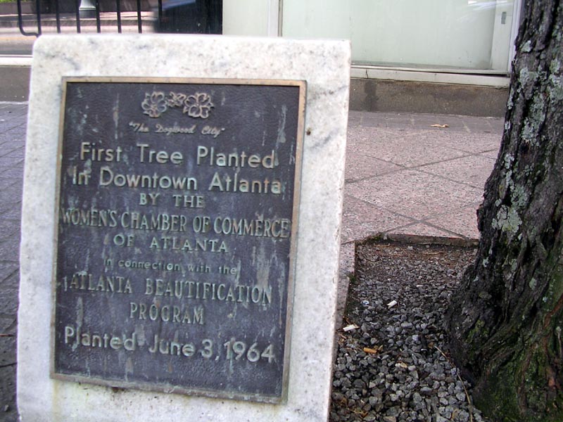 First Tree in Downtown planted by...